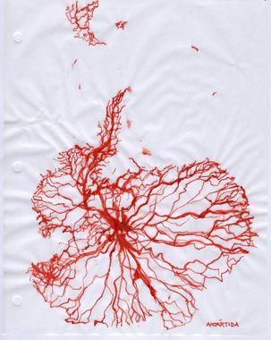 Mapa circulo Antartico. Xil Buffone.